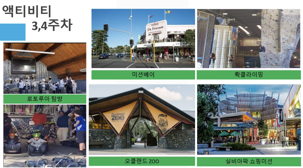 뉴질랜드 캠프 액티비티