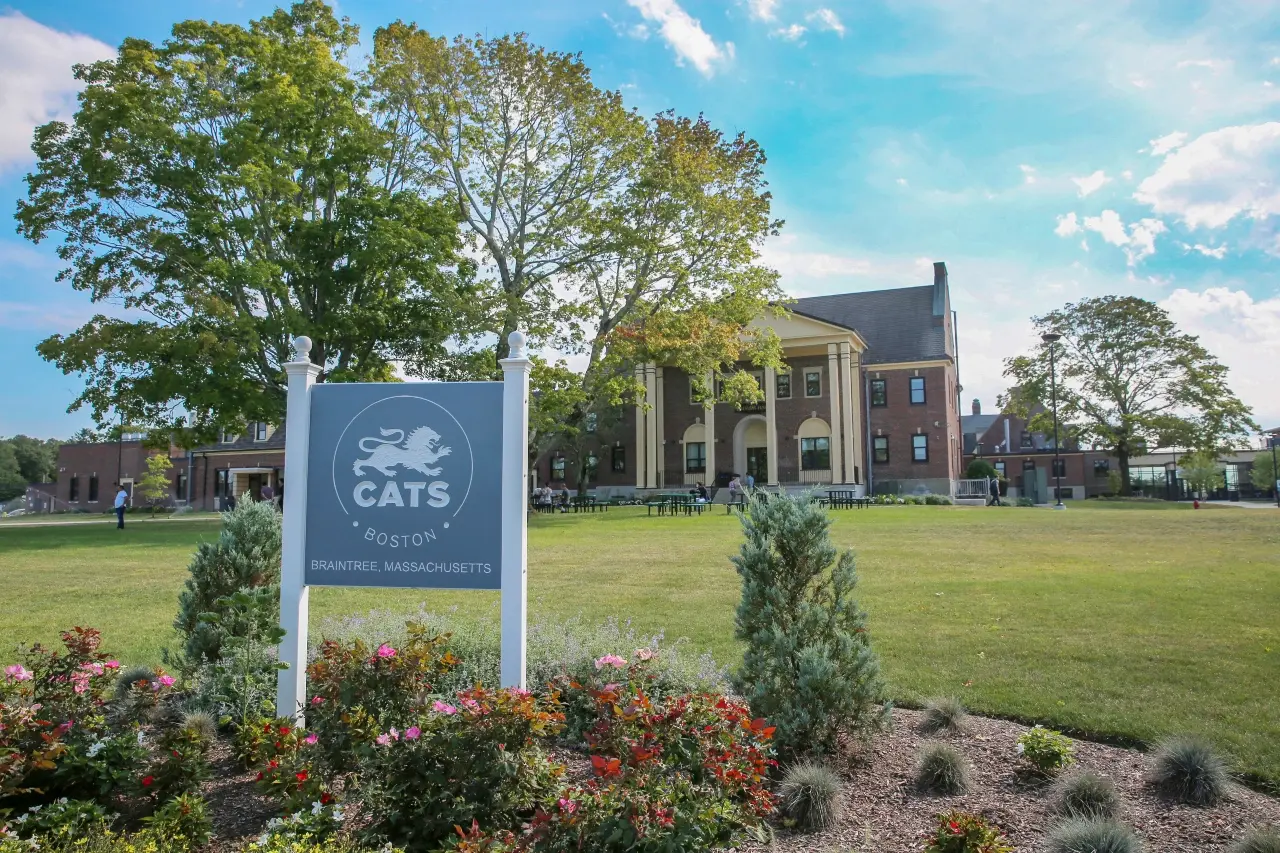 cats-boston-front