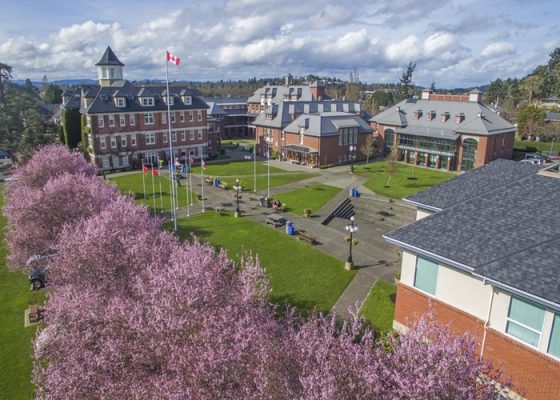 벚꽃이 핀 캠퍼스, 잔디를 둘러쌓 건물들